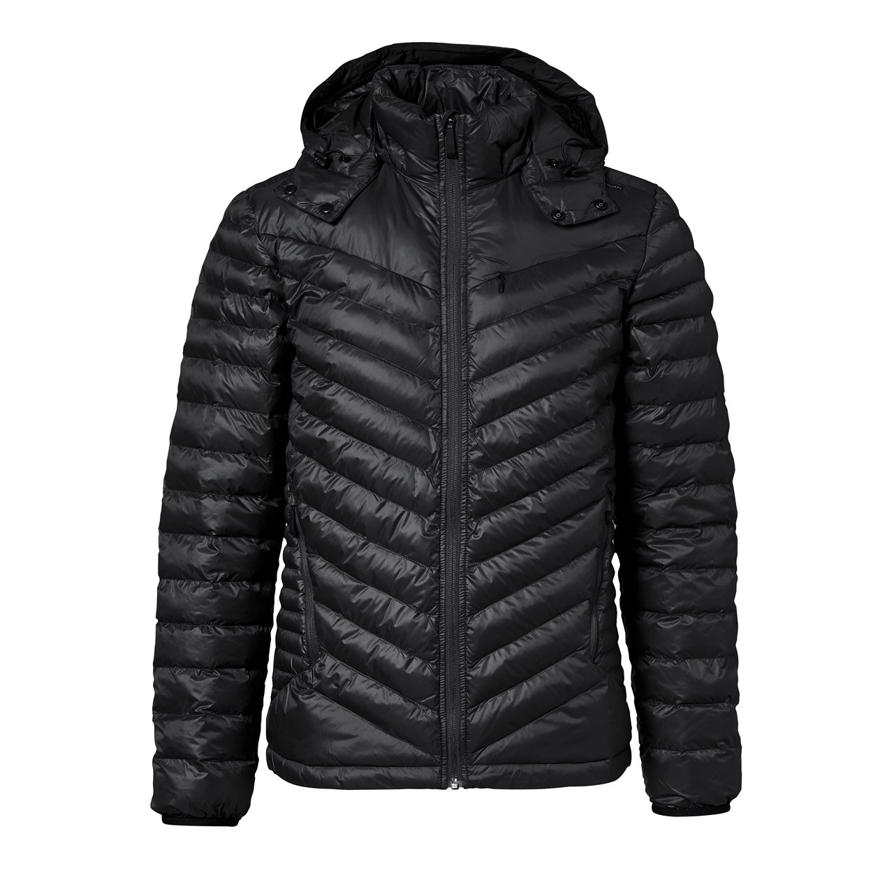 Porsche design down jacket best sale